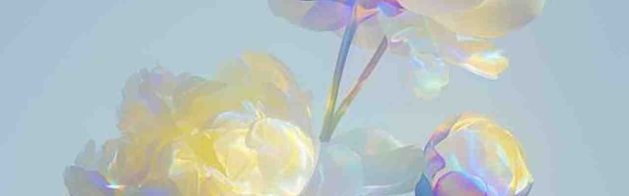 A dreamy floral arrangement with a soft color shift, embodying the balance of Tolerance Vs. Receiving.