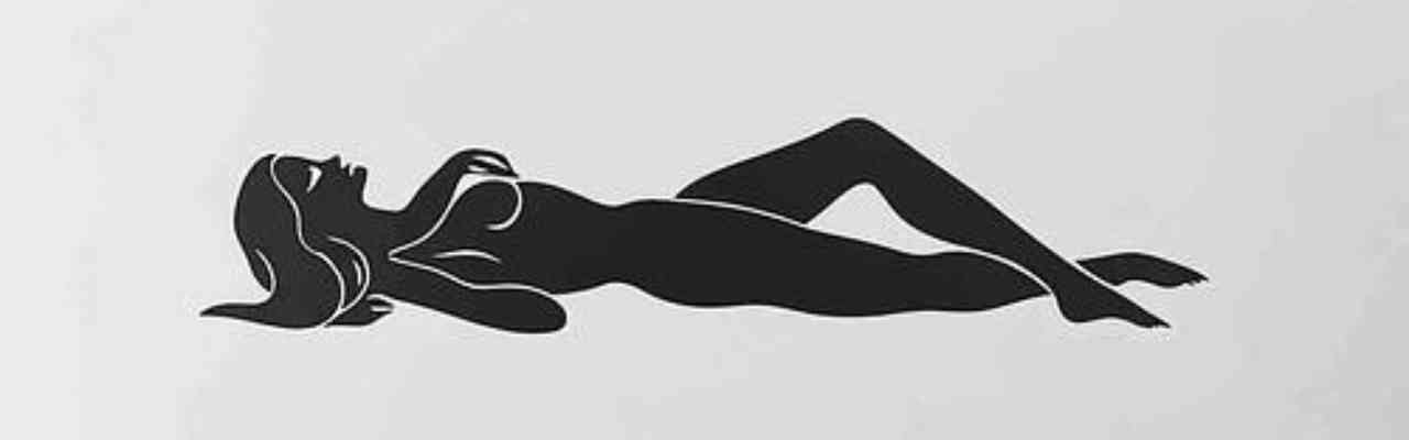 A relaxed, abstract representation of Different Types of Sex in a reclining woman figure.