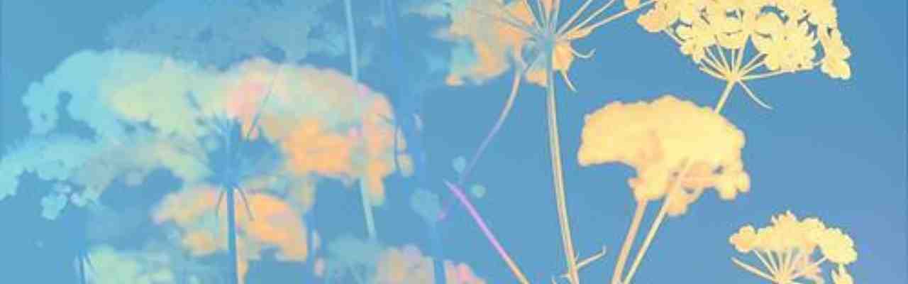 Soft-focus botanical reflections in warm golden hues, evoking a sense of erotic intimacy and sensual natural beauty.