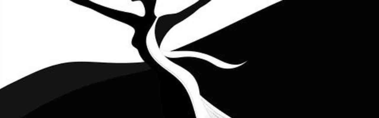 A fluid black-and-white abstract figure, resembling a dancing woman, symbolizing energetic expression.