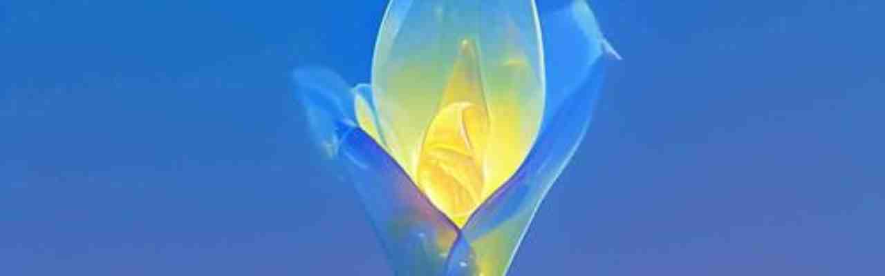 Abstract glowing bloom representing the contrast between barriers and moats in a metaphorical way.