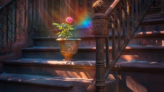 Orgasmic Meditation Lojong: Tend to the Basics