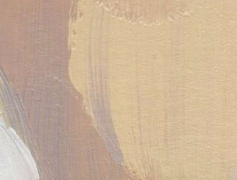 OM Story: Orgasmic Meditation: Nurturing Intimacy in Relationships