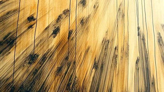 Healthy Erotic Boundaries